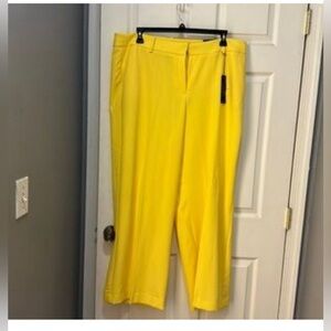 Lane Bryant The Lena Moderately Curvy Fit Classic Trousers SZ 24 T3 Technology